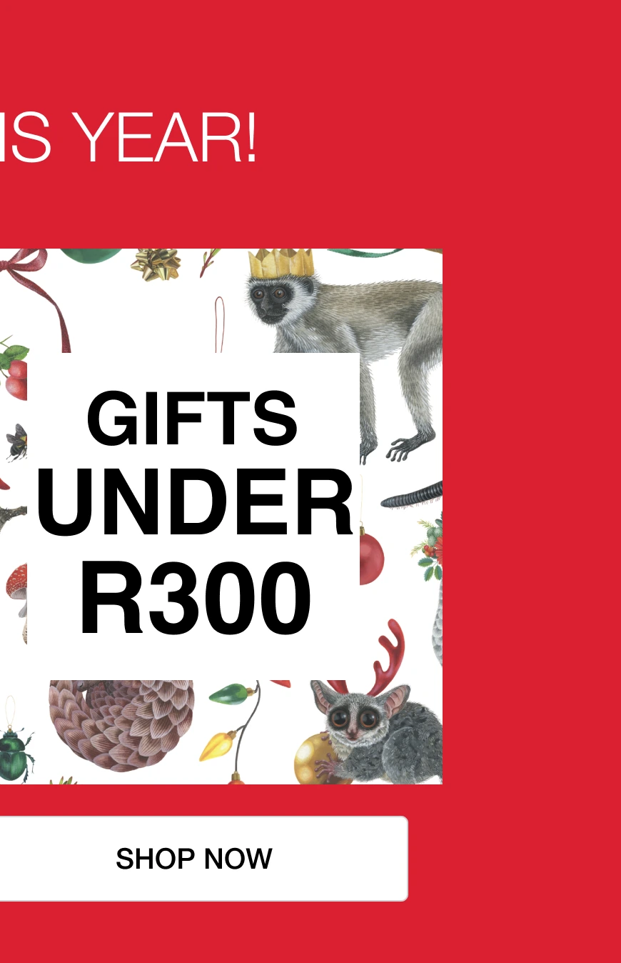 gifts under r300