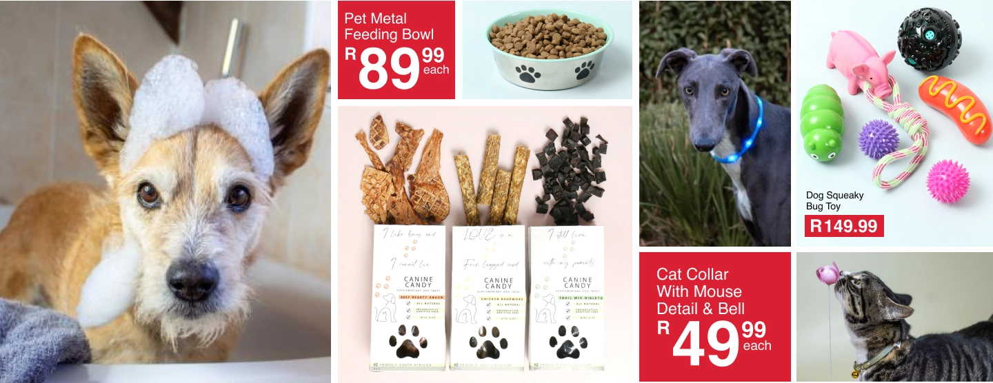 pamper your pets pets collection