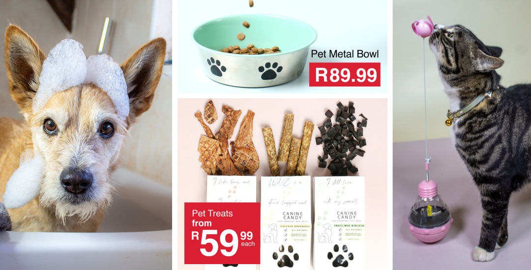 pamper your pets pets collection