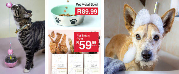 pamper your pets pets collection