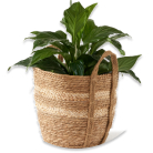 shop planters