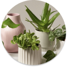 shop ooutdoor & garden decor