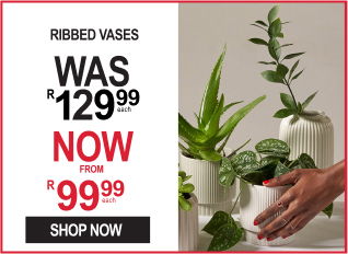 shop red november deals on vases