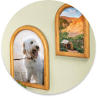 shop picture frames