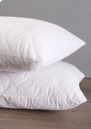 Shop laxtex pillows promotion