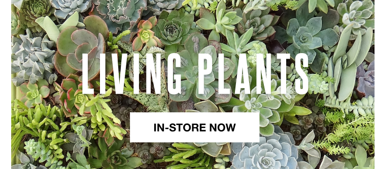 shop living plants at your nearest store