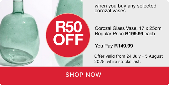 shop vases, shop a corozal vase promotion, buy a vase and save R50