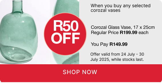 shop vases, shop a corozal vase promotion, buy a vase and save R50