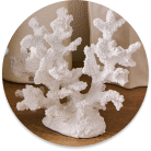 Explore our selection of decorative accessories for stylish South African homes