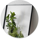 Explore our selection of mirrors for stylish South African homes