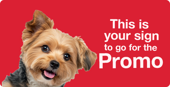shop mr price homes weekly promos