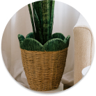 Garden ornaments, planters, and decorative items to beautify your South African outdoor space