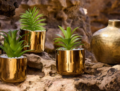 shop faux plants and artificial flowers, decorative plants and flowers. Shop potted plants and single stems