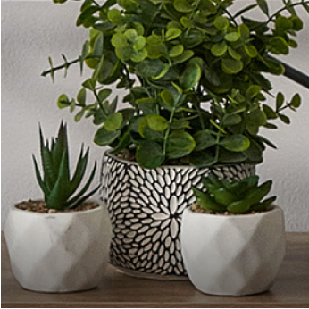shop home decor