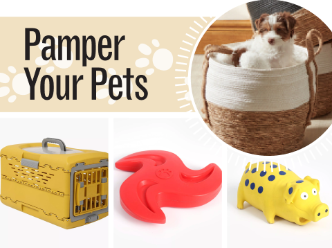 shop pet accessories
