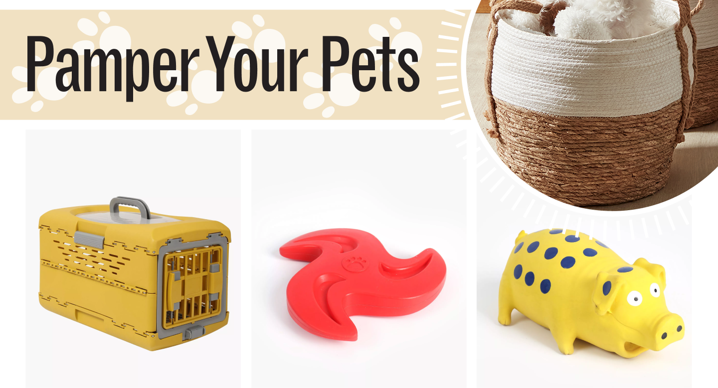 shop pet accessories