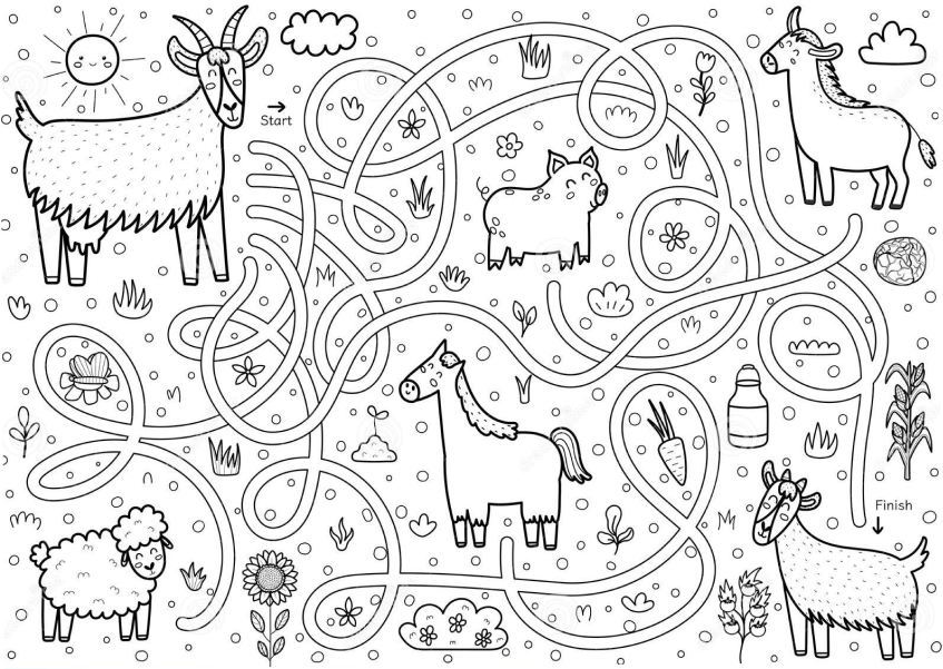 Download where will they go maze