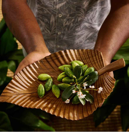shop leaf servingware