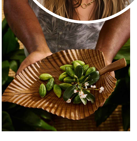 shop leaf servingware