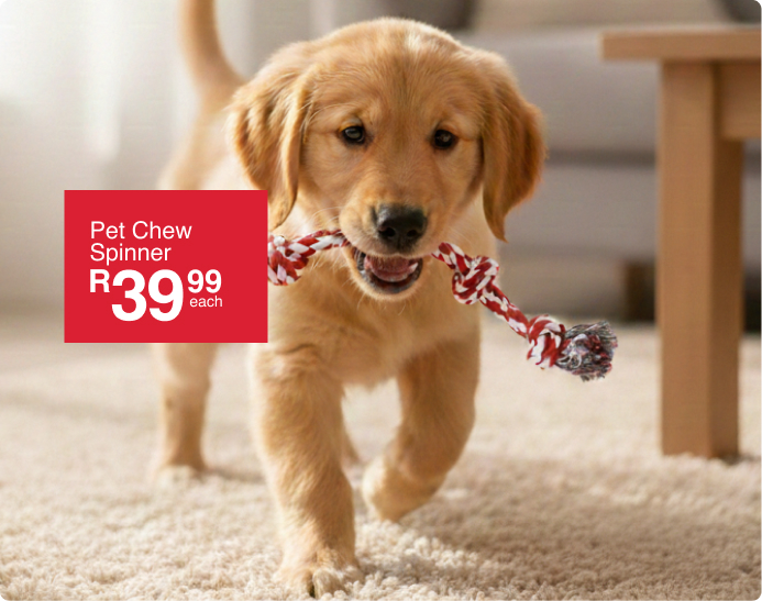 shop cool pets club is a pet tows and pet accessories collection by mr price home south africa