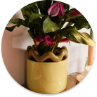 Decorative planters and garden pots to bring greenery into your home or patio