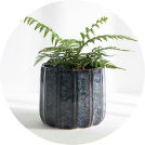 Decorative planters and pots to bring life to your home or patio garden