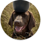 Trendy pet beds, bowls, and accessories for your furry friends