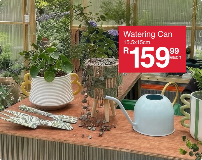 shop home in blkoom is a outdoor garden and planter colleection created by mr price home online