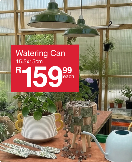 shop home in blkoom is a outdoor garden and planter colleection created by mr price home online