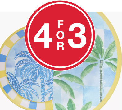 buy 4 melamine outdoor items and get the cheapest free Mr Price Home Online