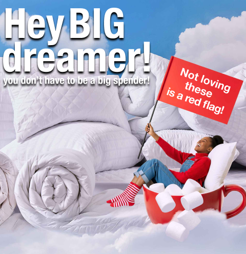 shop duvet inners & pillows