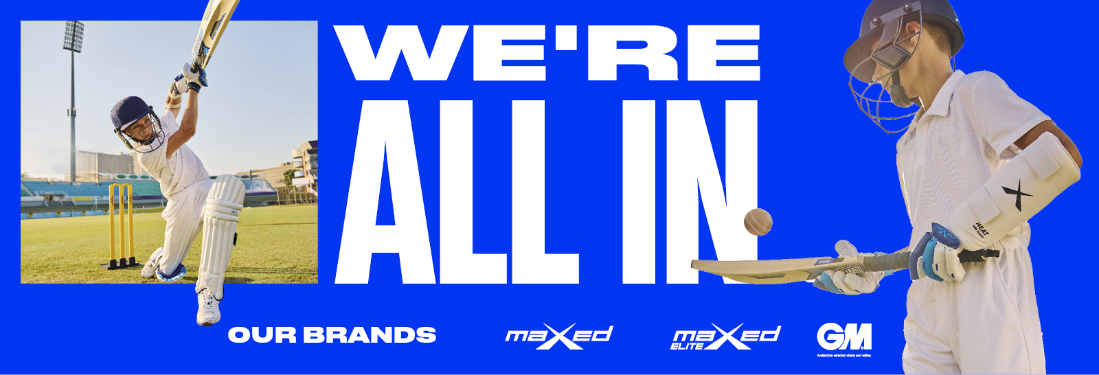 cricket desktop banner