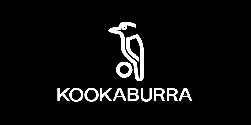 Kookaburra